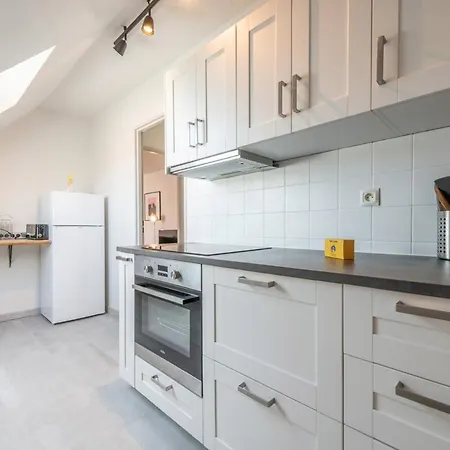 Bel Au Centre Stationnement 科尔马