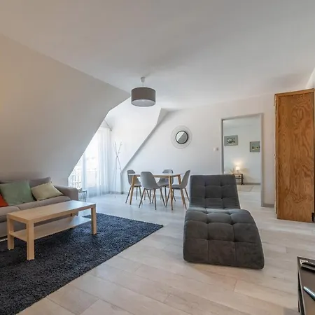 Bel Au Centre Stationnement 公寓 科尔马